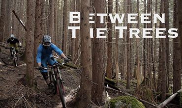 Between the Trees - Savage Films